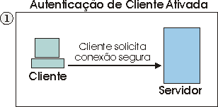 O cliente solicita uma conexo segura