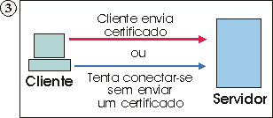 O cliente envia um certificado ou tenta estabelecer uma sesso sem nenhum certificado