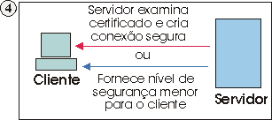 O servidor examina o certificado e cria uma conexo segura ou concede ao cliente um nvel mais baixo de segurana